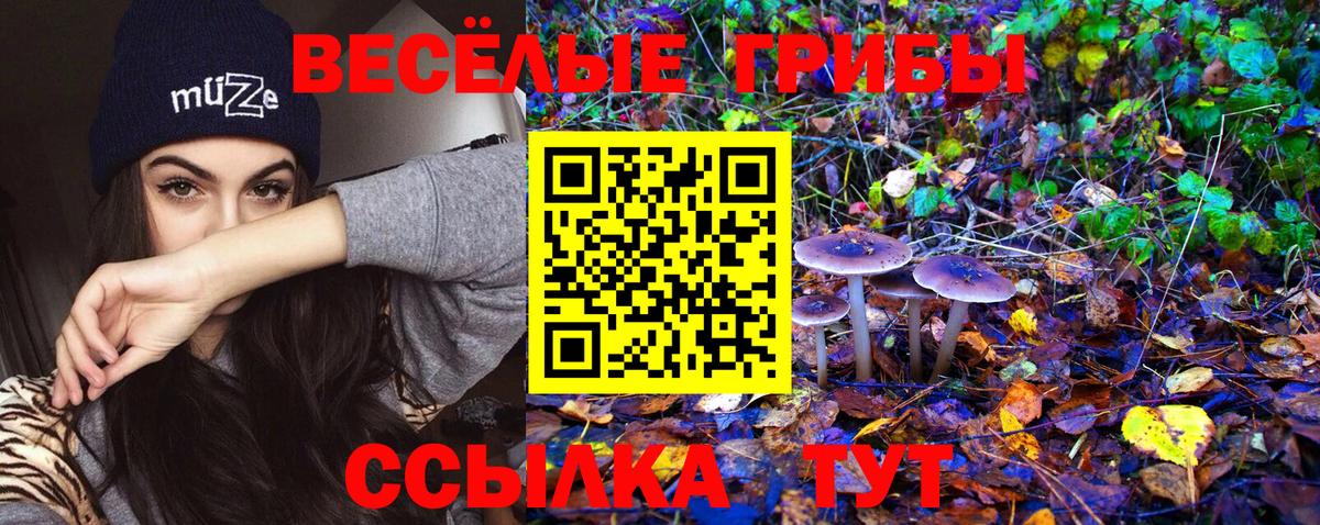 Галлюциногенные грибы прущие грибы  Вход с VPN  где можно купить наркотик  Псилоцибиновые грибы GOLDEN TEACHER  Сухой Лог 